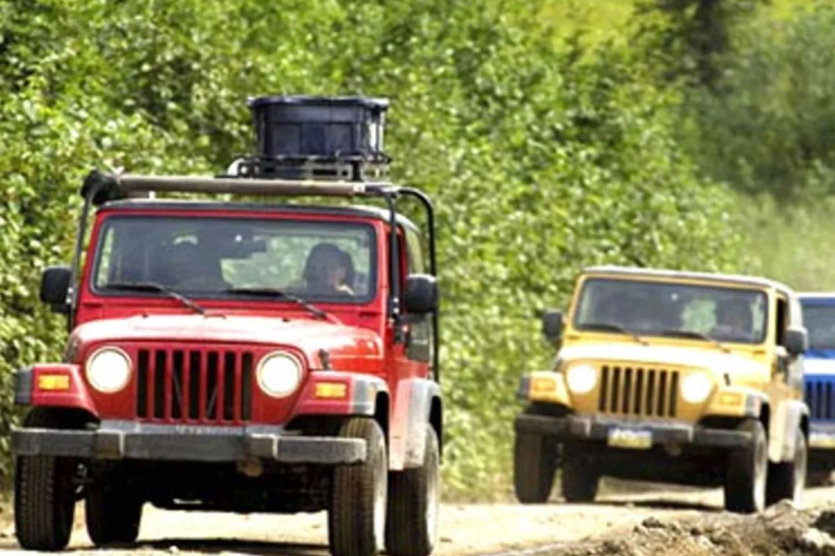 Jeep Safari - 6